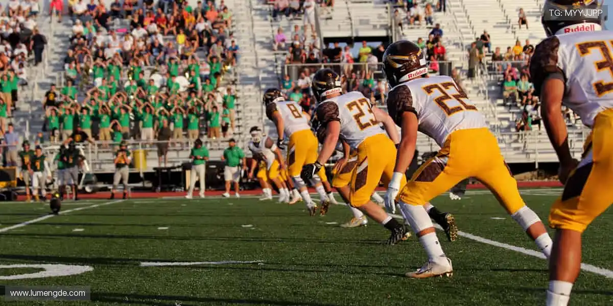 全场景在线游戏体验:官方正版安全稳定,玩得放心更尽兴